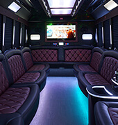 Tampa Party Bus