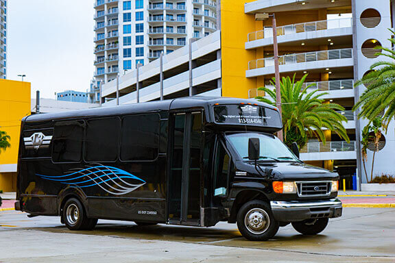 18-20 Passenger Limousine Bus