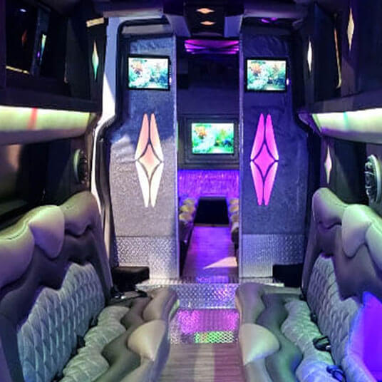 Tampa Limousine