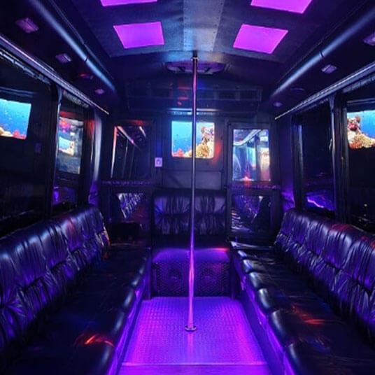 28 Passenger Party Bus