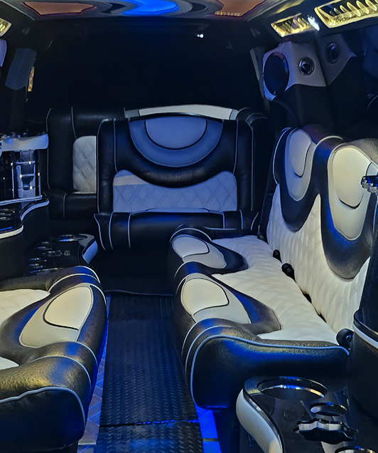 Party bus with fiber optic lights 